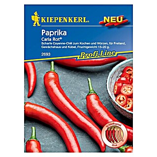 Kiepenkerl Profi-Line Gemüsesamen Chili-Paprika (Capsicum annuum, Saatzeit: Februar, Erntezeit: Juli)