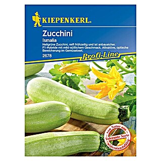 Kiepenkerl Profi-Line Gemüsesamen Zucchini (Cucurbita pepo, Saatzeit: März, Erntezeit: Juli)