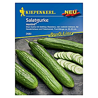 Kiepenkerl Profi-Line Gemüsesamen Salatgurken Maximé® (Cucumis sativus, Saatzeit: März, Erntezeit: Juli)