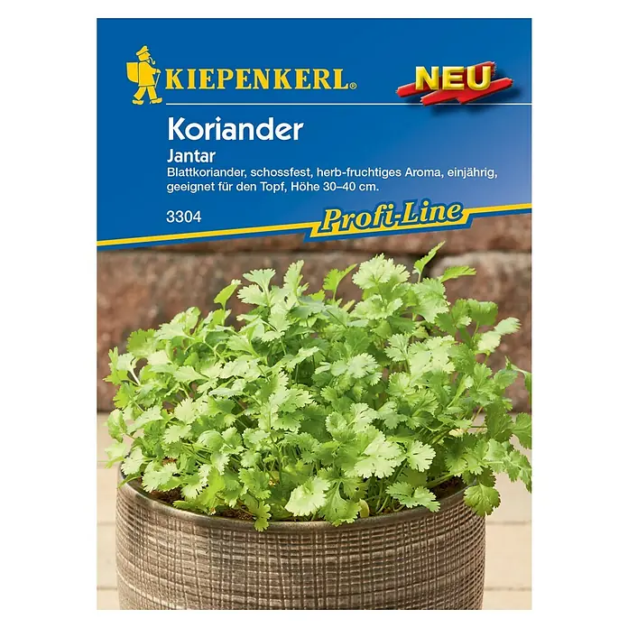 Kiepenkerl Profi-Line Kräutersamen Koriander - Coriandrum sativum, Saatzeit: April, Erntezeit: Juni - Das Bild zeigt eine Packung Koriandersamen der Sorte 'Jantar' von Kiepenkerl, eine aromatische und einjährige Pflanze für den Topf.