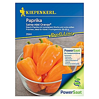 Kiepenkerl Profi-Line Gemüsesamen Paprika PowerSaat (Capsicum annuum, Saatzeit: Februar, Erntezeit: Juli)