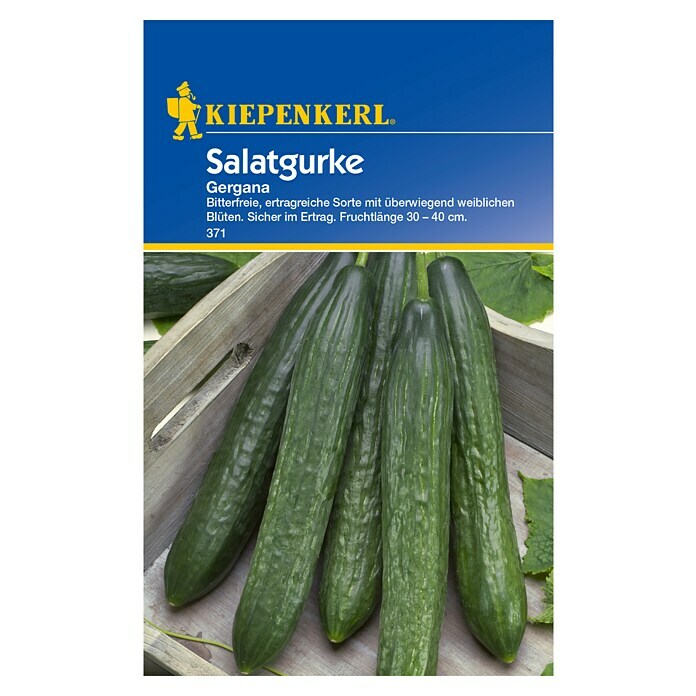 Kiepenkerl Gemüsesamen Salatgurken (Cucumis sativus, Saatzeit: April, Erntezeit: Juli) | BAUHAUS