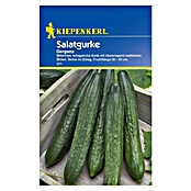 Kiepenkerl Gemüsesamen Salatgurken (Cucumis sativus, Saatzeit: April, Erntezeit: Juli) | BAUHAUS