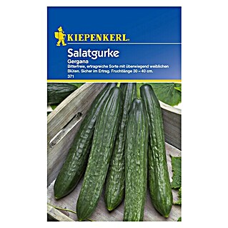 Kiepenkerl Gemüsesamen Salatgurken (Cucumis sativus, Saatzeit: April, Erntezeit: Juli)