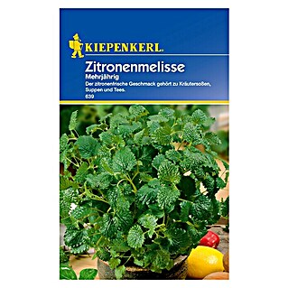 Kiepenkerl Kräutersamen Zitronenmelisse (Melissa officinalis, Saatzeit: März, Erntezeit: Ganzjährig)