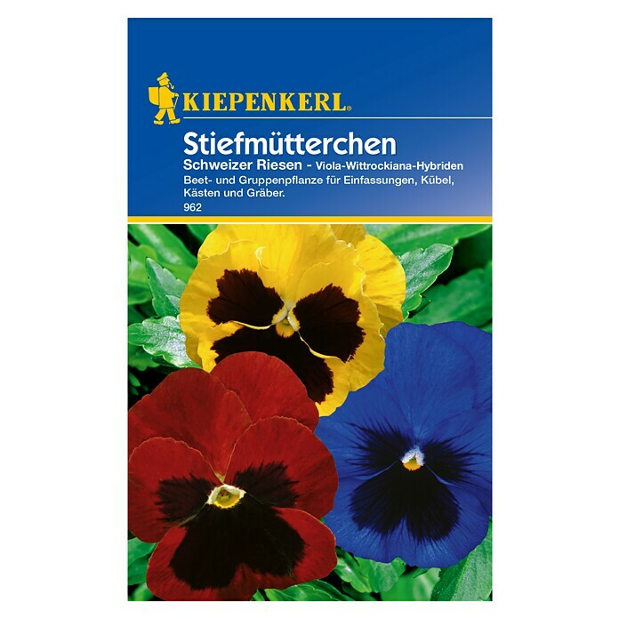 Kiepenkerl Blumensamen Stiefmütterchen (Viola-Wittrockiana-Hybriden, Mehrfarbig, Saatzeit: Juni, Blütezeit: März) | BAUHAUS