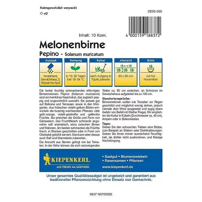 Kiepenkerl Profi-Line Obstsamen Melonenbirnen - Solanum muricatum, Erntezeit: Juli - Samentüte für Melonenbirne Pepino (Solanum muricatum) Samen mit Aussaat-, Pflege- und Ernteinformationen.