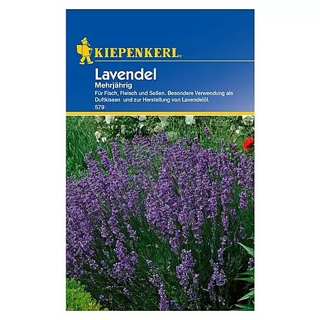 Kiepenkerl  Blumensamen Lavendel