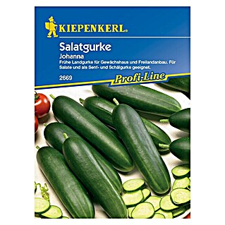 Kiepenkerl Profi-Line Gemüsesamen Salatgurken Johanna (Cucumis sativus, Saatzeit: März, Erntezeit: Juli)