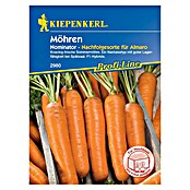 Kiepenkerl Profi-Line Gemüsesamen Möhren (Daucus carota, Saatzeit: März, Erntezeit: Juli) | BAUHAUS