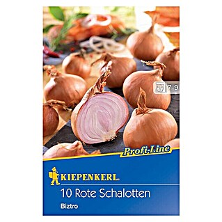 Kiepenkerl Steckzwiebeln Schalotte Biztro (Allium cepa var. aggregatum, Erntezeit: Juli - September)
