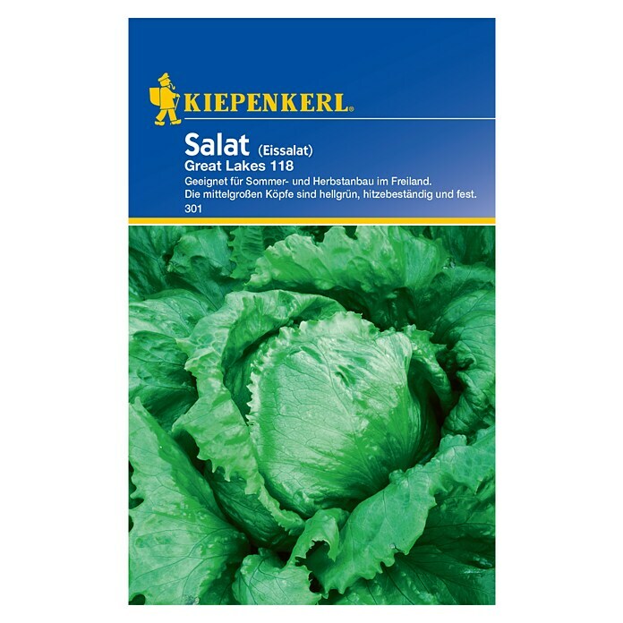 Kiepenkerl Salatsamen Eissalat (Lactuca sativa, Erntezeit: Mai, 1 g) | BAUHAUS