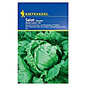 Kiepenkerl Salatsamen Eissalat (Lactuca sativa, Erntezeit: Mai, 1 g) | BAUHAUS