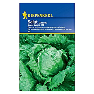 Kiepenkerl Salatsamen Eissalat (Lactuca sativa, Erntezeit: Mai, 1 g)