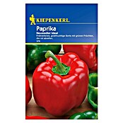 Kiepenkerl Gemüsesamen Paprika (Capsicum annuum, Saatzeit: Februar, Erntezeit: Juli) | BAUHAUS