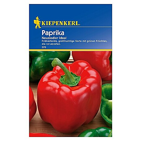Kiepenkerl Gemüsesamen Paprika (Capsicum annuum, Saatzeit: Februar, Erntezeit: Juli)