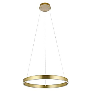 Eglo LED-Pendelleuchte rund Alcazaba (Ø x H: 55 x 150 cm, 36 W, Messing, Warmweiß)