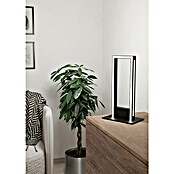 Eglo Led-tafellamp Salvilanas-Z (l x b x h: 160 x 35 x 425 mm, Zwart / Wit, Aluminium) | BAUHAUS