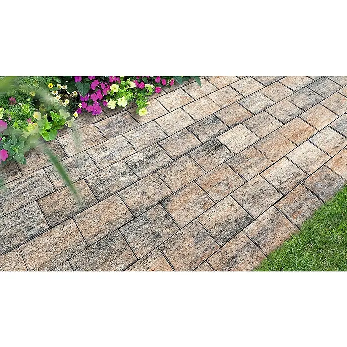 Diephaus Pflasterstein Pomona - Muschelkalk, 20 x 15 x 5 cm, Rechteckig - Ein Pflasterweg aus rechteckigen Steinen in Braun- und Grautönen, der von Blumen und Gras gesäumt wird. Das Pflaster sorgt für einen schönen Übergang.