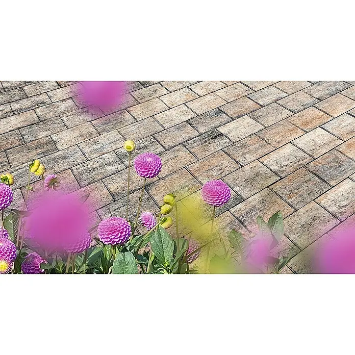 Diephaus Pflasterstein Pomona - Muschelkalk, 20 x 15 x 5 cm, Rechteckig - Pflastersteine im Außenbereich, kunstvoll verlegt, mit zarten lila Blumen im Vordergrund, die eine harmonische und einladende Atmosphäre schaffen.