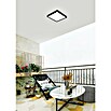Eglo LED-Aufbauleuchte Argolis 2 (L x B x H: 285 x 285 x 30 mm, Schwarz, Warmweiß, IP44) | BAUHAUS