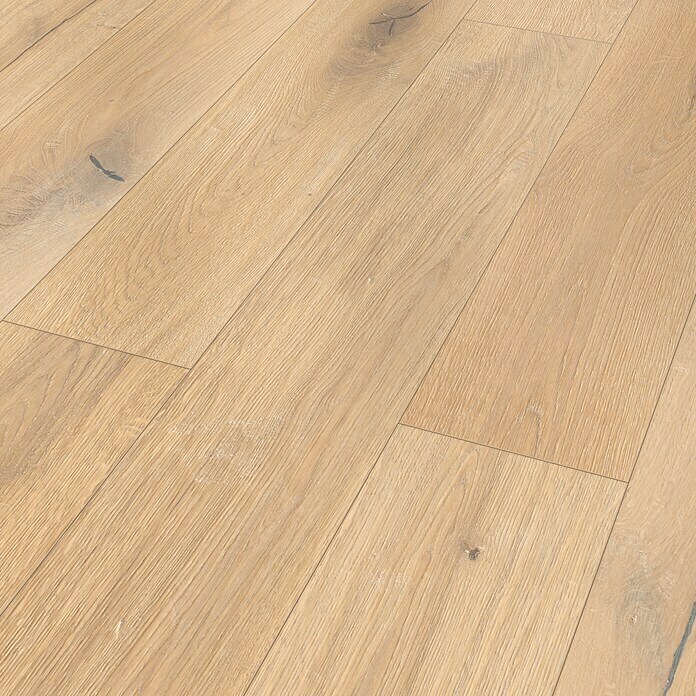 Classen Laminat 831-4 (1.286 x 194 x 8 mm, Landhausdiele, Oak Nature) | BAUHAUS