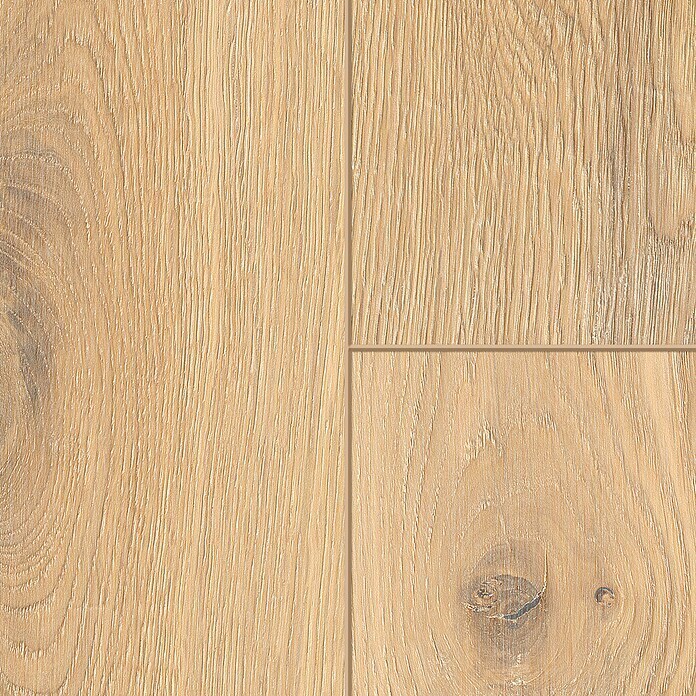 Classen Laminat 831-4 (1.286 x 194 x 8 mm, Landhausdiele, Oak Nature) | BAUHAUS