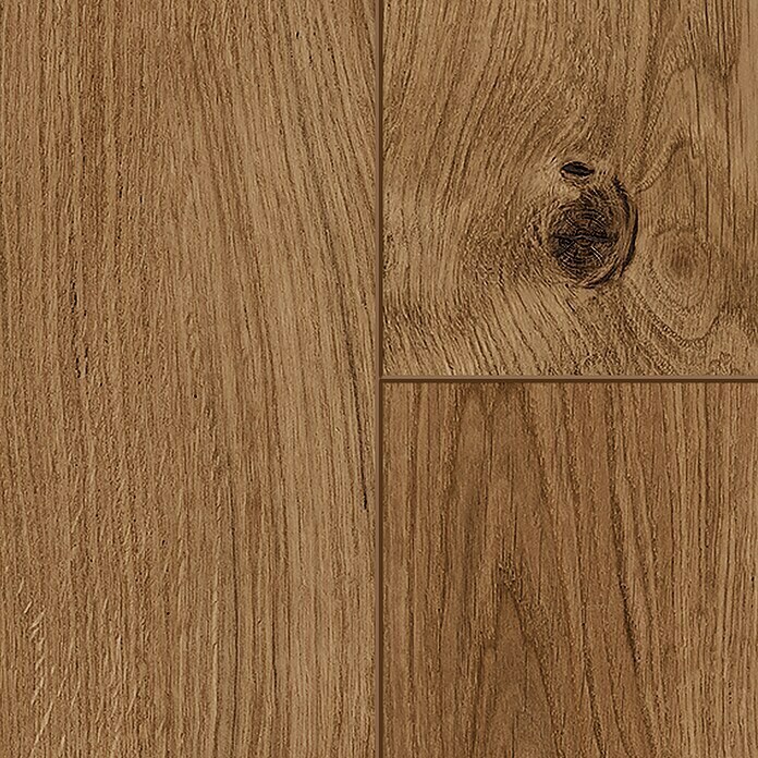 Classen Laminat 831-4 (1.286 x 194 x 8 mm, Landhausdiele, Oak Rustic dark) | BAUHAUS