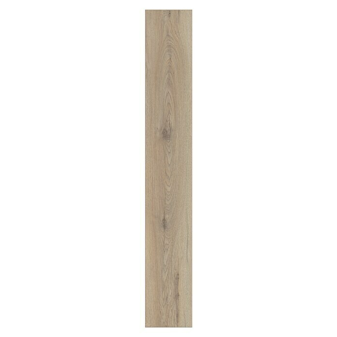 Krono Original Laminat Organic Clever Silent Ashland Oak (1.288 x 195 x 7 mm, Landhausdiele, Ashland Oak) | BAUHAUS