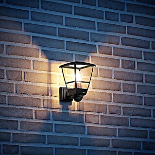 Steinel Wandlamp voor buiten L 10 SSW (15 W, 22,4 x 17,5 x 25,5 cm, Zwart, IP44)