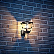 Steinel Aplique exterior L 10 (15 W, 22,4 x 17,5 x 24,2 cm, Negro, IP44, Sin sensor de movimiento) | BAUHAUS