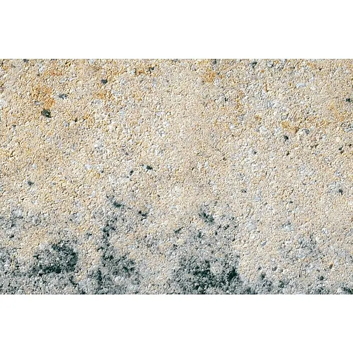 Diephaus Pflasterstein Caracas - Muschelkalk, 21 x 14 x 8 cm, Rechteckig - Nahaufnahme einer sandfarbenen Betonoberfläche mit feinen, dunklen Sprenkeln und einer leicht unregelmäßigen Textur. Ideal als Hintergrund oder zur Darstellung von Materialbeschaffenheit.