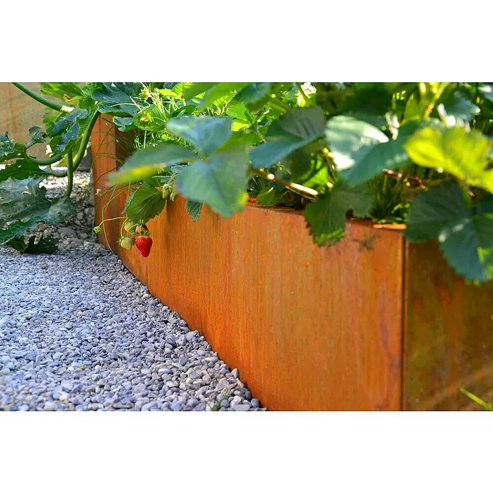 Palatino Hochbeet Scala Landschaft - 490 x 100 x 100 cm, Stahl, Rostbraun - Erdbeerpflanzen gedeihen in einem Hochbeet aus Cortenstahl, umgeben von Kies, was einen optisch ansprechenden und praktischen Gartenbereich schafft.