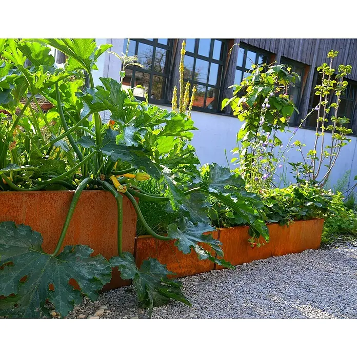 Palatino Hochbeet Scala Landschaft - 490 x 100 x 100 cm, Stahl, Rostbraun - Hochbeete aus Cortenstahl mit üppigem Gemüse und blühenden Pflanzen, die eine attraktive und funktionale Gartengestaltung bieten.