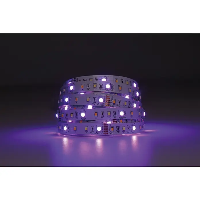 Eglo connect.z LED-Band - Länge: 500 cm, Lichtfarbe: RGBW, 1.250 lm - Aufgerollter LED-Streifen leuchtet in Lila und setzt einen Farbakzent. Perfekt für indirekte Beleuchtung und dekorative Zwecke im Innenbereich.