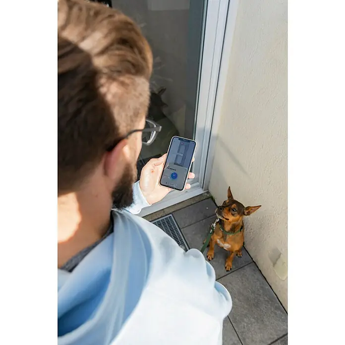 Abus Funk-Türschlossantrieb Wintecto one FCA4100 W - Geeignet für: Fenster, Weiß, Bedienung: Über App - Mann mit Smartphone in der Hand, das eine Smart-Home-App anzeigt, während ein Dackel an seiner Leine neben ihm sitzt.