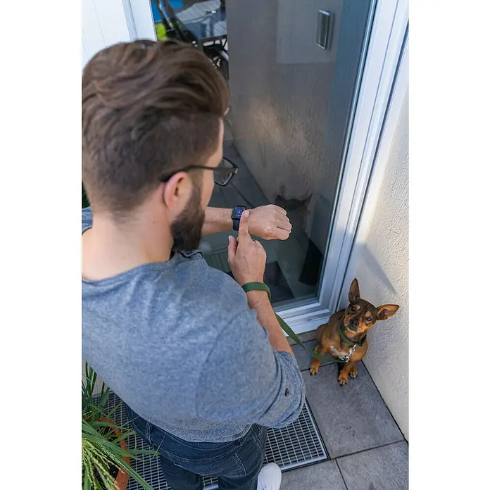 Abus Funk-Türschlossantrieb Wintecto one FCA4100 W - Geeignet für: Fenster, Weiß, Bedienung: Über App - Ein Mann schaut auf seine Smartwatch, während sein Hund geduldig daneben sitzt. Die Smartwatch zeigt das Zifferblatt deutlich.