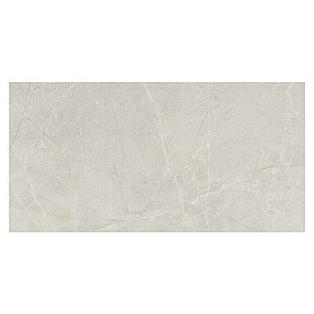 Feinsteinzeugfliese Bayona Silver (60 x 120 cm, Grau, Glänzend)