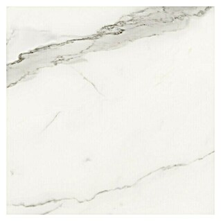 Feinsteinzeugfliese Torino Bianco (60 x 60 cm, Weiß/Grau, Glänzend)