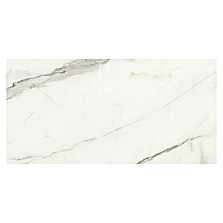 Feinsteinzeugfliese Torino Bianco (60 x 120 cm, Weiß/Grau, Glänzend)