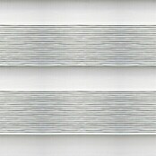 Estor noche y día Platinum Duolux (An x Al: 200 x 250 cm, Gris, Traslúcido)