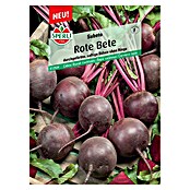 Sperli Gemüsesamen Rote Bete (Beta vulgaris, Saatzeit: April, Erntezeit: Juli) | BAUHAUS