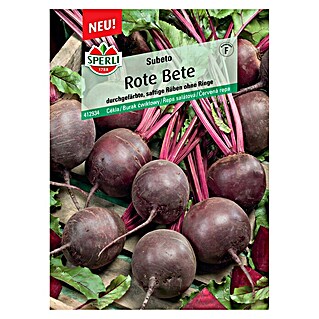 Sperli Gemüsesamen Rote Bete (Beta vulgaris, Saatzeit: April, Erntezeit: Juli)