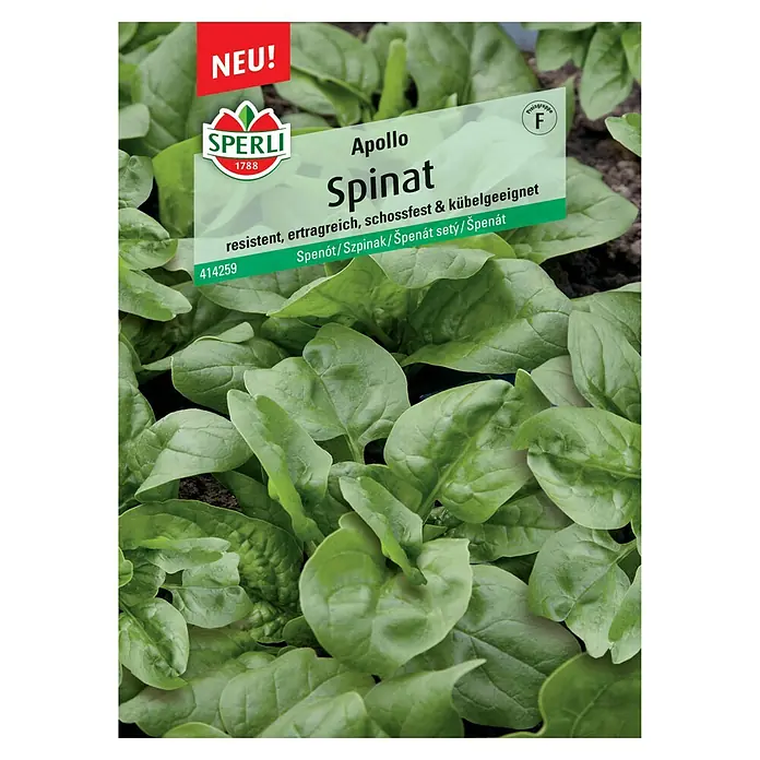 Sperli Gemüsesamen Spinat Apollo - Spinacia oleracea, Saatzeit: März, Erntezeit: Mai - Abbildung einer Samenkapsel Apollo Spinat von Sperli, resistent, ertragreich und schossfest, ideal für den Anbau im Kübel.
