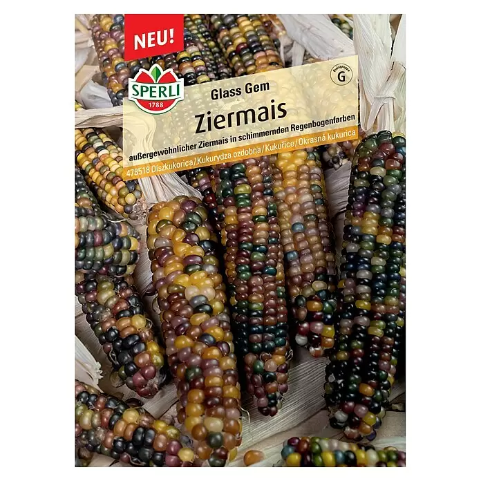 Sperli Gemüsesamen Spitzkohl Filderkraut - Brassica oleracea, Erntezeit: September, 15 m² - 20 m² - Glass Gem Ziermais: Bunte Maiskolben mit schimmernden, regenbogenfarbenen Körnern.