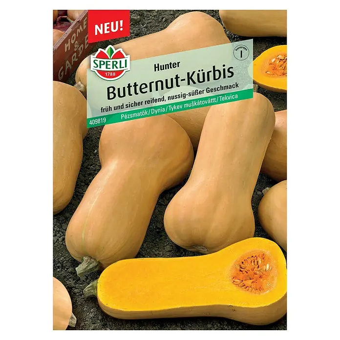 Sperli Gemüsesamen Butternutkürbis - Cucurbita moschata, Saatzeit: März, Erntezeit: August - Das Bild zeigt eine Samentüte 'Hunter Butternut-Kürbis' von Sperli, die eine Auswahl an Butternut-Kürbissen präsentiert.