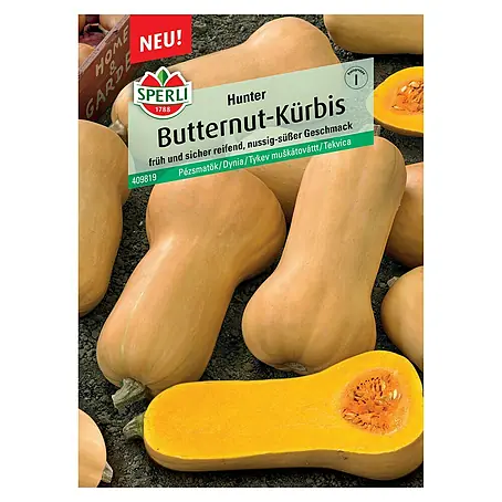 Sperli  Gemüsesamen Butternutkürbis