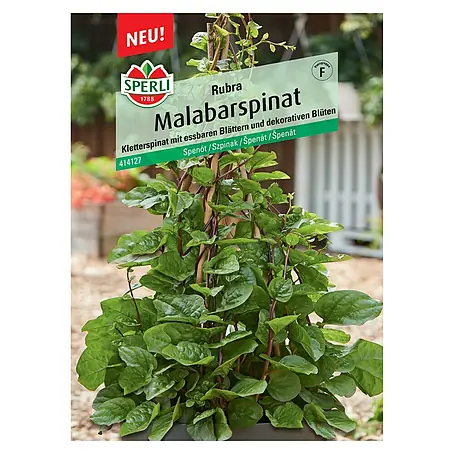 Sperli  Gemüsesamen Malabarspinat