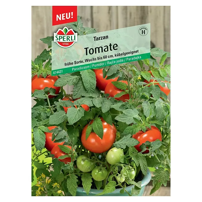Sperli Gemüsesamen Cocktail-Tomate - Solanum lycopersicum, Saatzeit: Februar, Erntezeit: Juli - Abbildung der Tomatensorte Tarzan von Sperli, eine frühe Sorte, die sich für den Anbau im Kübel eignet und bis zu 60 cm hoch wird.