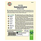 Sperli Blumensamen Sonnenblume Lemon Cutie (Helianthus annuus 'Lemon Cutie', Zitronengelb) | BAUHAUS